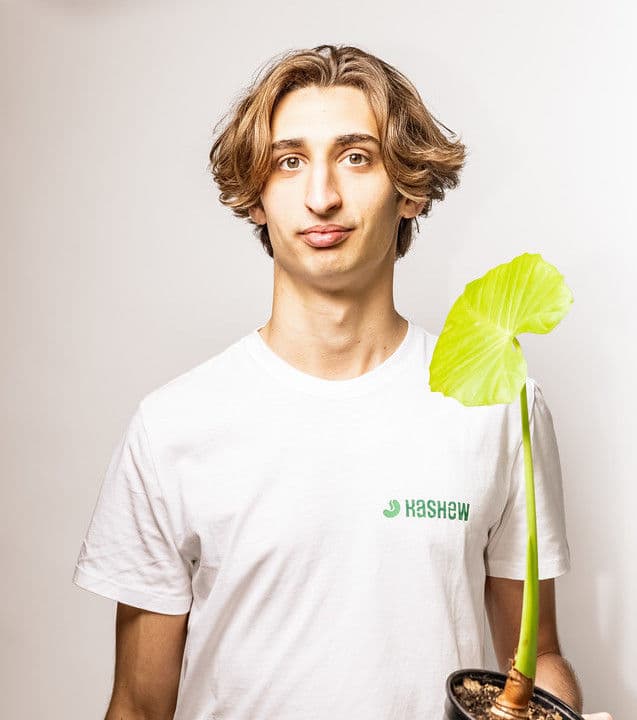 author picture
