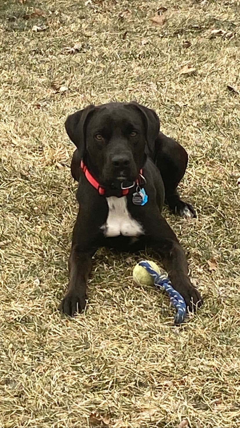 author picture